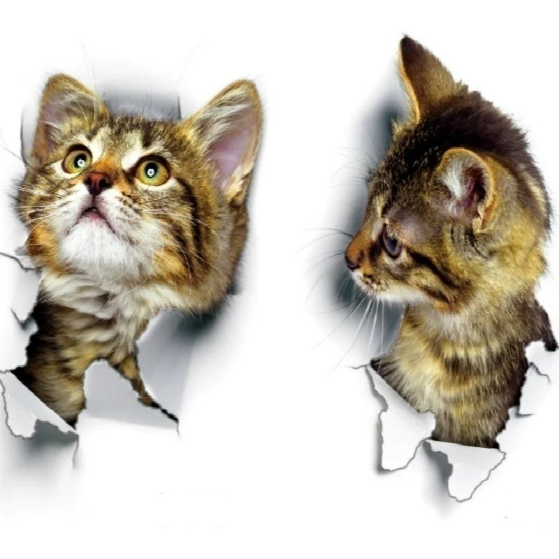 3pcs 3D Cute Cat Self-adhesive - đánh giá và giá Bedroom Furniture